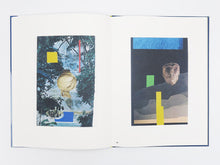 Load image into Gallery viewer, Laith McGregor – Archipelago