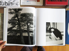 Load image into Gallery viewer, Lena C. Emery – Yuka & The Forest (With Print)