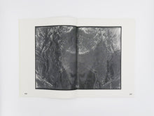 Load image into Gallery viewer, Izabela Pluta – Figures of slippage and oscillation