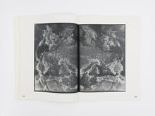 Load image into Gallery viewer, Izabela Pluta – Figures of slippage and oscillation