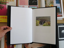 Load image into Gallery viewer, Lukas Wassman - W