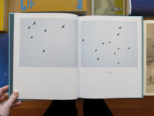 Load image into Gallery viewer, Jason Vaughn and Brad Zellar – Driftless