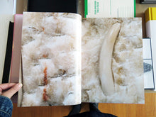 Load image into Gallery viewer, Daniel Dewar & Gréfory Gicquel - Rosa Aurora