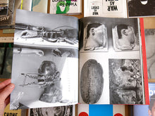 Load image into Gallery viewer, Kader Attia - Transformations