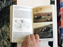 Load image into Gallery viewer, Luke Feireiss & Michael Najjar - Planetary Echoes