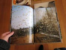 Load image into Gallery viewer, Lotte Reimann - Jaunt