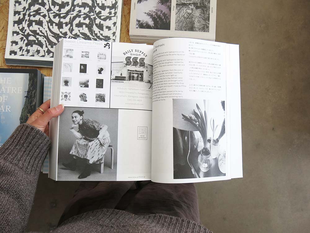 Nakako Hayashi – Here and There 1 – 13.5 – Perimeter Distribution