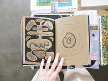 Load image into Gallery viewer, Karen Lofgren – emBRUJAda: Charms for the Living