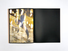 Load image into Gallery viewer, James Tunks – ZONE