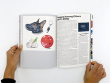 Load image into Gallery viewer, Jeff Gibson: False Gestalt