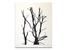 Load image into Gallery viewer, Luke Le – What are you looking for?