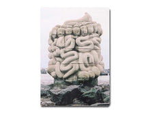 Load image into Gallery viewer, Daniel Dewar and Grégory Gicquel – Le pied, le pull-over et le système digestif