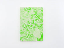 Load image into Gallery viewer, Luke Le – What are you looking for?