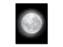 Load image into Gallery viewer, Lele Saveri – Luna 10 Years