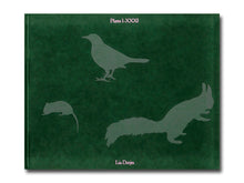 Load image into Gallery viewer, Lia Darjes – Plates I-XXXI