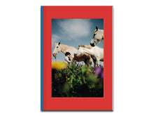 Load image into Gallery viewer, [FORTHCOMING] Enrique Escandell – 10 5 4