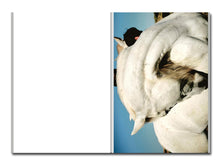 Load image into Gallery viewer, [FORTHCOMING] Enrique Escandell – 10 5 4