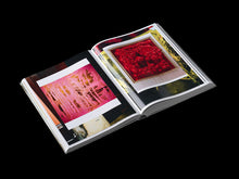 Load image into Gallery viewer, Dale Frank, Artist. Artworks 2006–2023