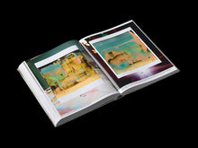 Load image into Gallery viewer, Dale Frank, Artist. Artworks 2006–2023