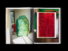 Load image into Gallery viewer, Dale Frank, Artist. Artworks 2006–2023