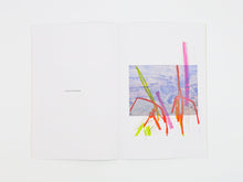 Load image into Gallery viewer, Félicia Atkinson – Ambient Park