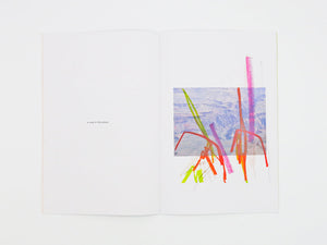Félicia Atkinson – Ambient Park