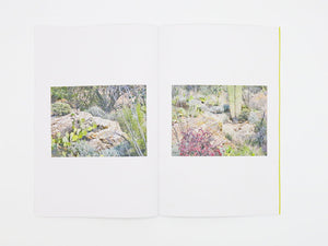 Félicia Atkinson – Ambient Park
