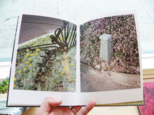 Load image into Gallery viewer, Louis Porter - Bad Driving