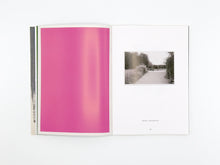 Load image into Gallery viewer, David Thomas – Amid