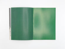 Load image into Gallery viewer, David Thomas – Amid