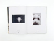 Load image into Gallery viewer, David Thomas – Amid