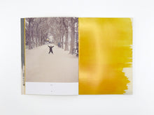 Load image into Gallery viewer, David Thomas – Amid