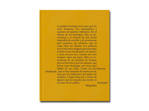 Fernando Maquieira – A Tiny Story