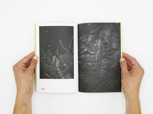 Felix Wilson – Nocturnal Ecologies
