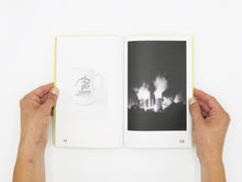 Load image into Gallery viewer, Felix Wilson – Nocturnal Ecologies