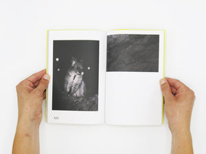 Felix Wilson – Nocturnal Ecologies
