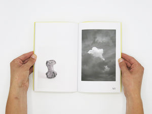 Felix Wilson – Nocturnal Ecologies