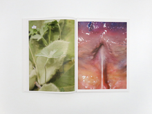 Load image into Gallery viewer, Honey Long and Prue Stent – Drinking From The Eye