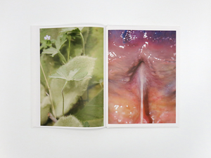Honey Long and Prue Stent – Drinking From The Eye