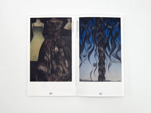 Load image into Gallery viewer, Hair Pieces