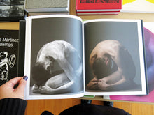 Load image into Gallery viewer, Pierre Debusschere - Uncovered