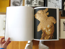 Load image into Gallery viewer, Sybren Vanoverberghe – 1099
