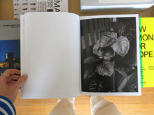 Load image into Gallery viewer, Edouard Jacquinet – Marguerites