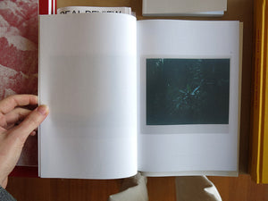 Inga Kerber – Cliché of a Landscape, Jungle