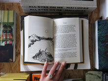 Load image into Gallery viewer, Frances (Franky) Cannon – Vernal Thaw: A novel of love at a slant