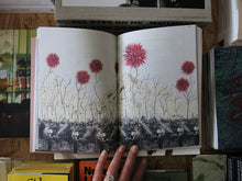 Load image into Gallery viewer, Seeds: Reclaiming Roots, Sowing Futures