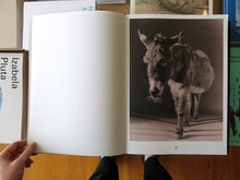 Load image into Gallery viewer, Paul Kooiker – The Rumour