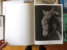 Load image into Gallery viewer, Paul Kooiker – The Rumour