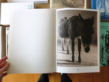 Load image into Gallery viewer, Paul Kooiker – The Rumour