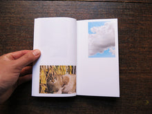 Load image into Gallery viewer, Mike Slack – Walking in Place 1: New Orleans